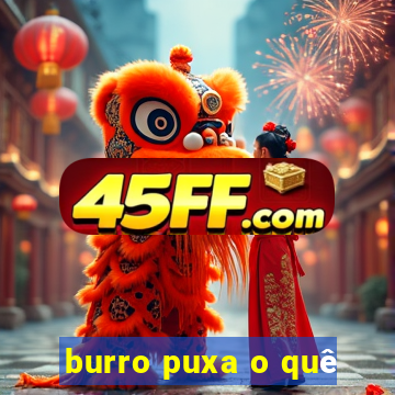 burro puxa o quê
